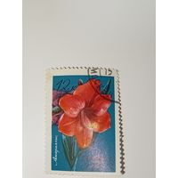 Марка СССР 1971 год Цветы