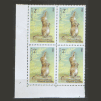 Заг. 5589. 1985. Бухарская бурозубка. КВАРТ. ЧиСт.
