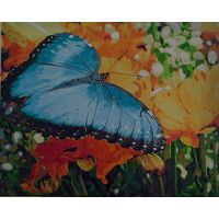 Полет бабочки