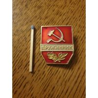 Значок "Дружиник"