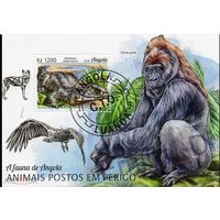 ЛИСТ ФАУНА животные  СТО