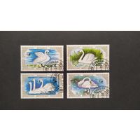 Лот 11 разные марки