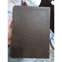 Раритетное издание проф. Воробьев Атлас анатомии человека 1947 г. Медгиз Ленинград  том 3 - Пищеварительный аппарат Дыхательный аппарат, Мочеполовой аппарат