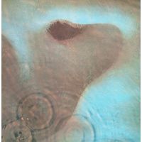 PINK FLOYD  /Meddle/1971, EMI, LP, EX, Germany