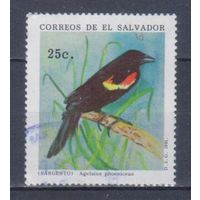 [1862] Сальвадор 1991. Фауна.Птицы.Скворец. Гашеная марка.
