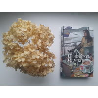 Эрика Йонг, "Я не боюсь летать"