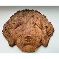Панно резное деревянное. Из дуба. Собака/пес Лабрадудль