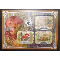 Габон. 2019 год. Флора. Грибы. Блок (1014)
