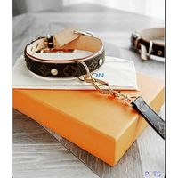 Ошейник LV Louis Vuitton с поводком (реплика)