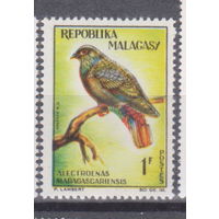 Птицы фауна Мадагаскар 1963 год  лот 17 ЧИСТАЯ