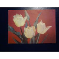 Тюльпаны.  1970 г.  подписанная.