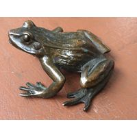 Бронзовая лягушка, детализация, патина