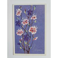 Величкина 1988 8  марта