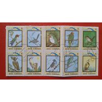 Куба 1983. Фауна Птицы. Полная серия в сцепке
