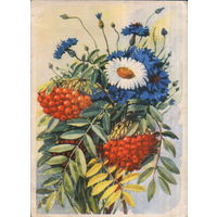 Чистая открытка 1959г. "Цветы и рябина" худ. Б. Мухин