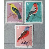 Болгария птицы 3шт