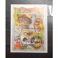 Кот-д`Ивуар. 2018 год. Флора. Грибы. Блок (1015)