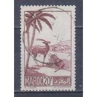 [1903] Французские колонии. Марокко 1939. Фауна.Антилопы.20 фр. Гашеная марка.