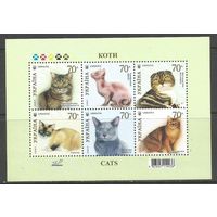 Украина. Кошки. 2007г. Mi#Бл61.