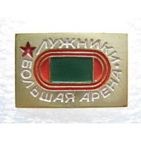 Лужники, большая арена.