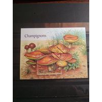 Того 2000 г. Грибы.