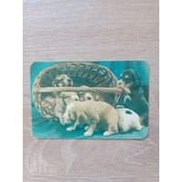 Календарик 1991