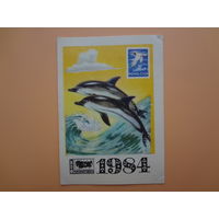 Календарик 1984 г.  ВОФ. Дельфины.