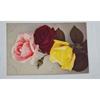 1908 год Либава  Открытка