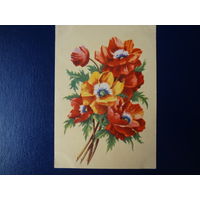 Маки.  1961 г.