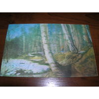 Открытка Стерео Весенний пейзаж 1974 год СССР Москва Чистая См фото