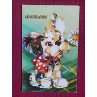 Приветствую! Украинская открытка. Рафальский 1983 г. Двойная. Чистая.