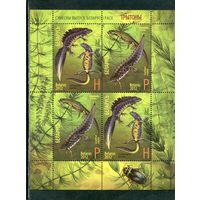 Беларусь 2012. Фауна. Тритоны. Блок