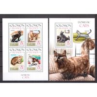 Соломоновы острова 2013 Фауна домашние кошки - 1 лист + 1 блок MNH**