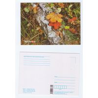 Беларусь. 2019. Планета Беларусь (11-1/3)