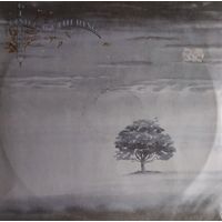 GENESIS /Wind And Wuthering/1976, Charisma, LP, EX, Germany