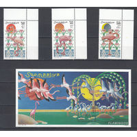 Фауна. Птицы. Фламинго. Сомали. 1998. 3 марки и 1 блок. Michel N 726-729, бл56 (19,0 е)