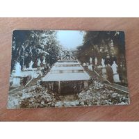 Открытка Петергоф "Драконов каскад".