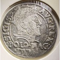 Грош 1547 Сигизмунд Август