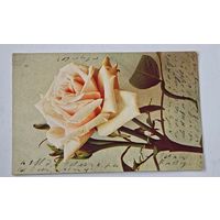 1908 год Либава  Открытка