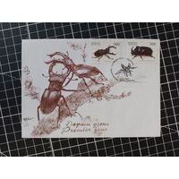 КПД. Беларусь. 2001. Жуки