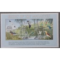 2002  Птицы Мальдив Мальдивы