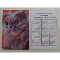 Карманный календарик. Котик.1992 год