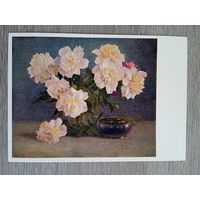 1958. Максимов. Пионы