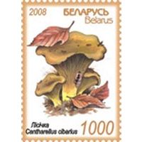 Марки "Лисичка", "Боровик"