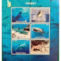 Мавритания 2016. Фауна. Акулы. Малый лист