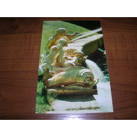 Петродворец Фонтан Сирены чистая