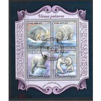 ЛИСТ ФАУНА белые медведи СТО