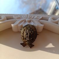 Коллекционная кокарда чиновника РИА из 2 частей венок и петлица позолота в патине