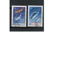 СССР-1962 (Заг.2645-2646) гаш., Рыбы(полная серия)(на фото образец, остальные не хуже)