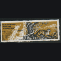 Заг. 3452. 1967. Заповедник "Кедровая падь". Фауна. ЧиСт.